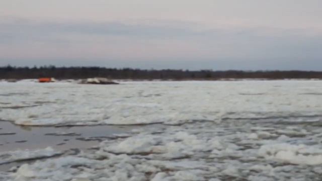 Посмотри, что такое шуга Look what shoogar is смотреть онлайн