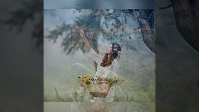 Anthony Ventura - Orfeo Negro 🌷Sealed With A Kiss 🎶🌹 смотреть онлайн