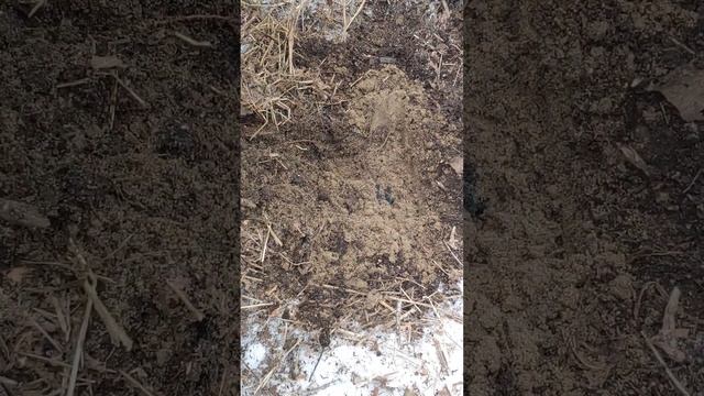 Пробой кабеля 6кВ разряды из под земли смотреть онлайн