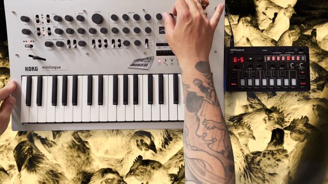 Roland J-6 Midi Sequencer for the masses 🐔🐔🐔🐔 смотреть онлайн