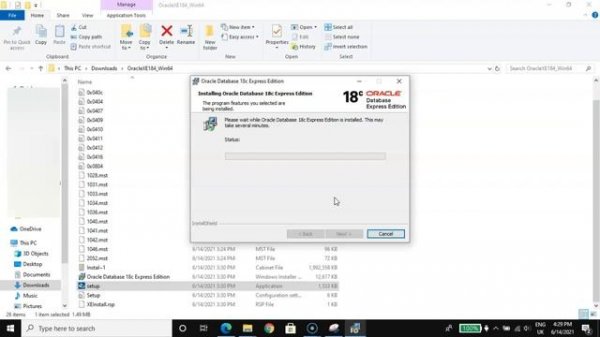 The wizard was interrupted before oracle database 18c express edition could be installed | FIXED!!!