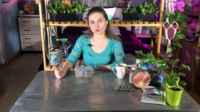 Правильный посев пеларгонии. Выращивание пеларгонии из семян. Уход за геранью после посева.