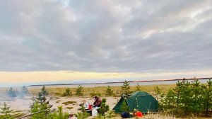 Летняя рыбалка на Белом море у Пертоминска. Треска. Зубатка. Навага #Рыболов_Севера