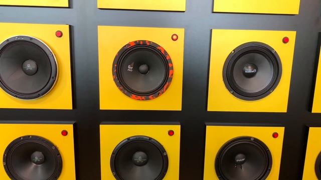 Обзор DL Audio Gryphon PRO 165 смотреть онлайн