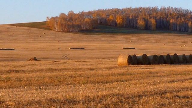 Осенний романс. смотреть онлайн
