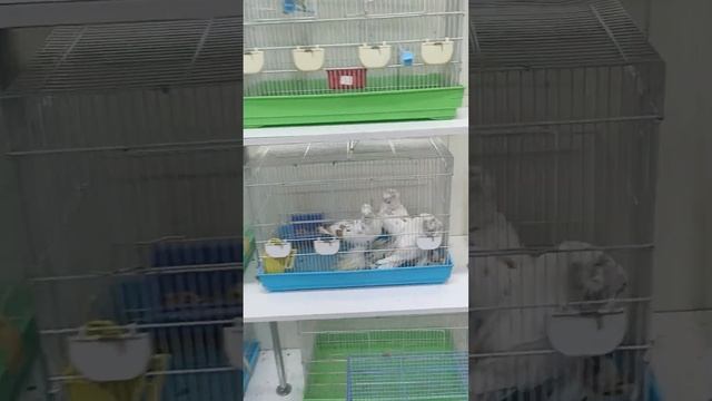 25 сентября 2023 г. смотреть онлайн