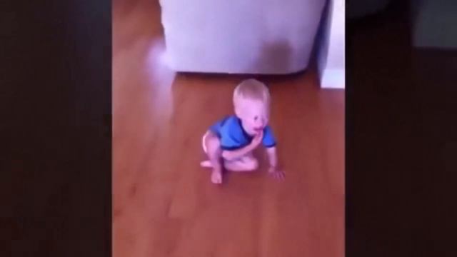 Животные пугают детей это очень забавно #детисживотными смотреть онлайн