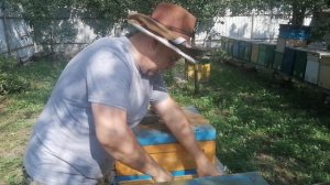 Карниола против Бакфаста ч 3. Бакфаст понес разнотравье.