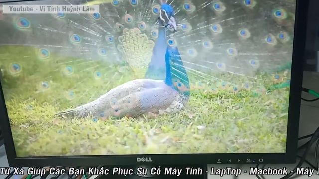 Màn Hình fujitsu 24 inch Chất Lượng Giá Tốt 2022 Hàng Nội Địa Nhật Sài Bền Và Trâu Bò смотреть онлайн