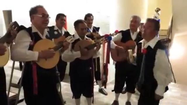 San Miguel tunas serenade смотреть онлайн