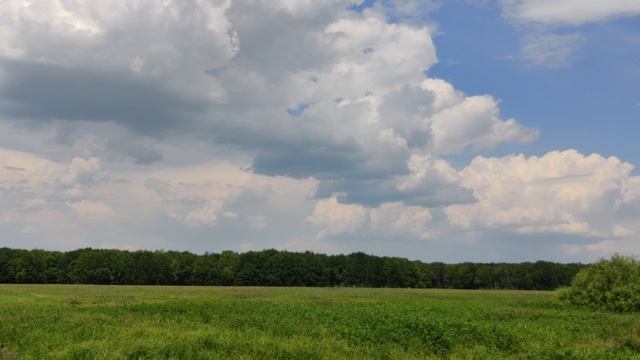 VID_20230610_130024 смотреть онлайн