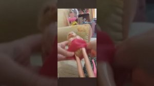 Беременная кукла Барби💕