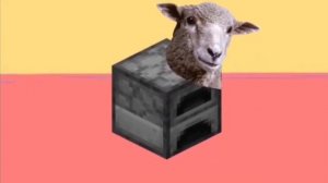 мышка сосиска: все виды/крыска чивапчичи. /мем тик ток