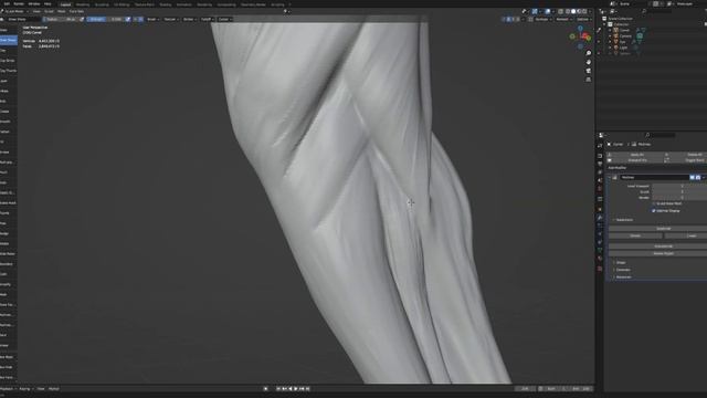 Camel Anatomy In Blender (Details Raw #4) смотреть онлайн