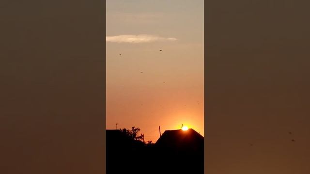 ну вот и всё... ? ??Птички улетели, в тёплые края... смотреть онлайн