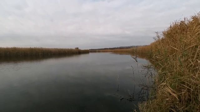 Новые места ловли щуки. смотреть онлайн