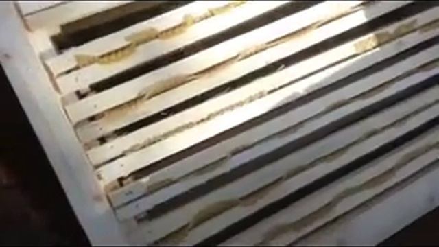 Майский мед как собрать смотреть онлайн