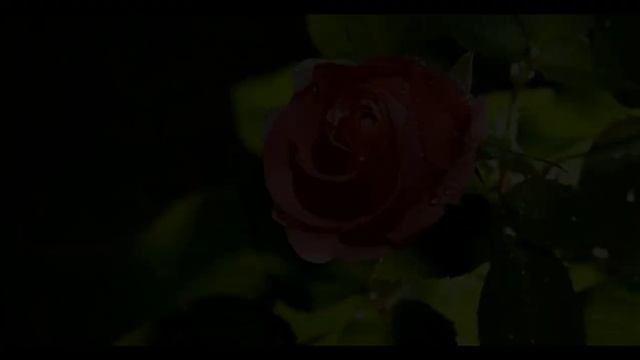 Yine Bugün Sensiz - Ferdi Tayfur