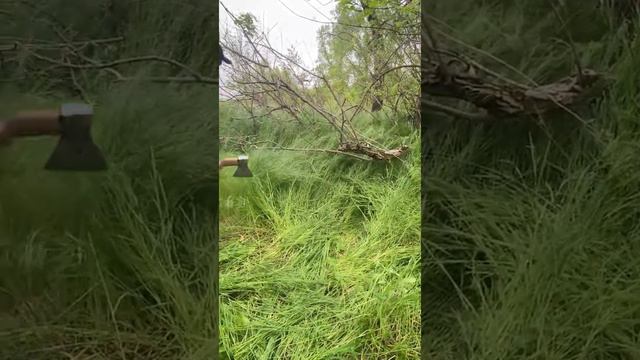 Отдых с палаткой ( рыбалка ) смотреть онлайн