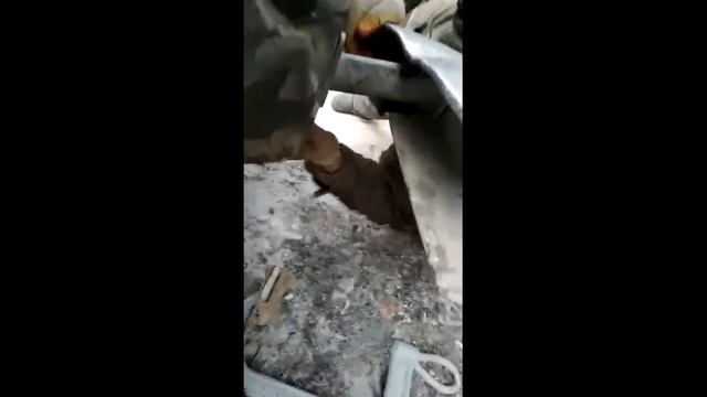 Эксклюзивный интерьер