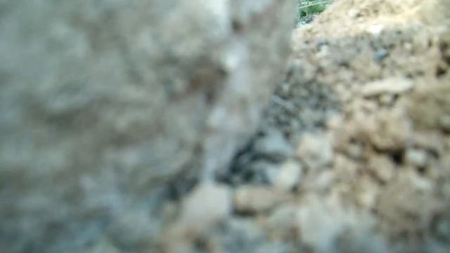 ЦЕМЕНТ В ДОМАШНИХ УСЛОВИЯХ