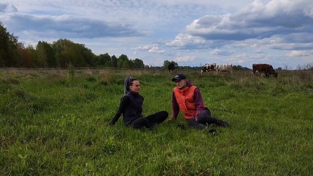 Мокрые коровы по утрам. Мотелица или ласка? Что делать? смотреть онлайн