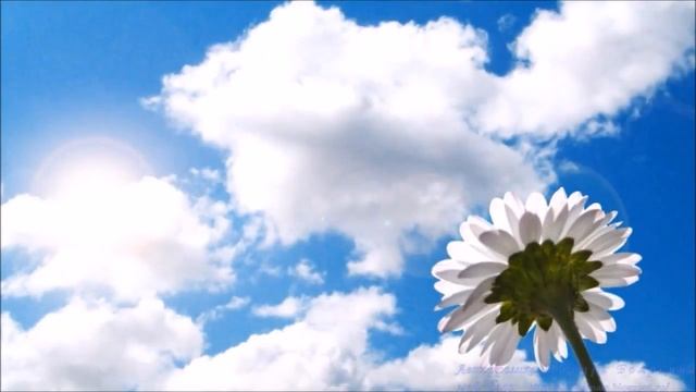 С 23 февраля! С Днём Защитника Отечества! Подарок любимому мужчине. смотреть онлайн