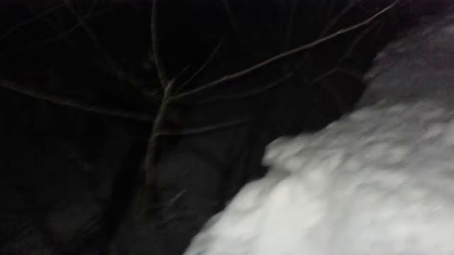 Прыганье на деревья.Женька сломало дерево. смотреть онлайн