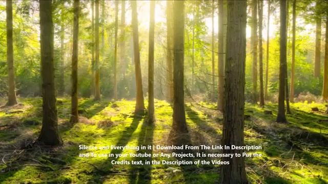 film korea terbaru- drakor 2020 WAJIB NONTON!! SUB INDO смотреть онлайн