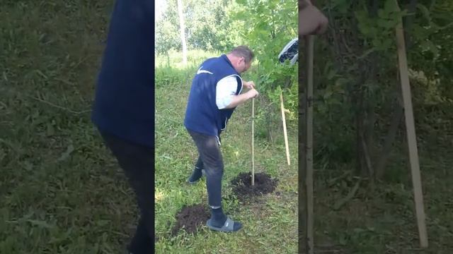 Ямобур своими руками смотреть онлайн