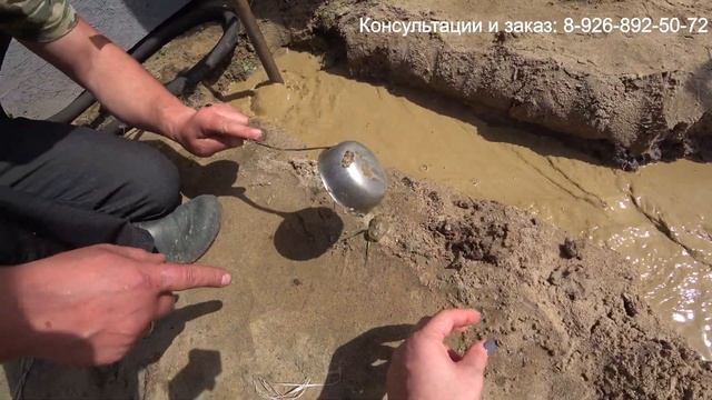 Абиссинка за 150 минут! КП Орлёнок. смотреть онлайн