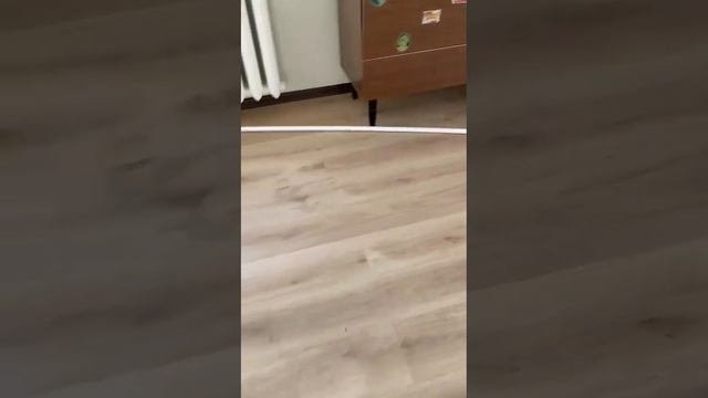Уборка после ремонта: волшебное превращение смотреть онлайн