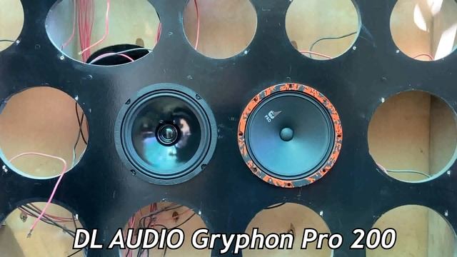 Обзор DL Audio Gryphon Pro 200 vs. URAL УРАЛ AS-M200 MOLOT