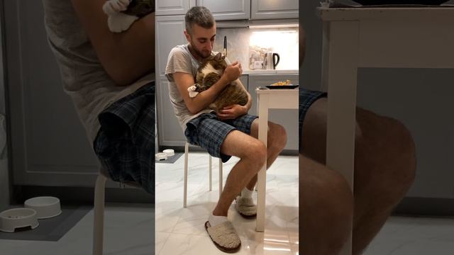 Кот Ральф соскучился по хозяину. Минута нежности и обнимашек) Вот бы и мне он был так рад? смотреть онлайн