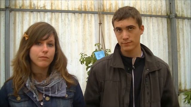 Concours de reconnaissance des végétaux mai 2013 смотреть онлайн