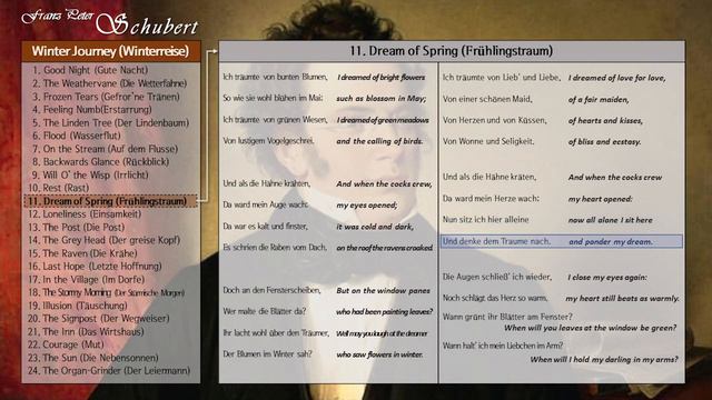 [ENG] Schubert 「Winter Journey」 D.911 