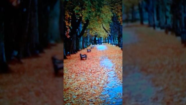 ОСЕННИЙ ? РОМАН! ,, Моя последняя любовь!"(для взрослых! автор исп.) смотреть онлайн