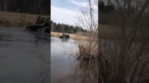 квадроцикл Соболь