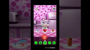 моя говорящая кошка сошла с ума 3:00 арабы разоблачение