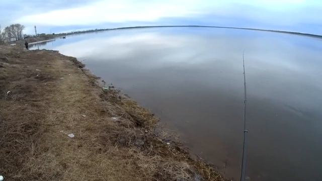 Хариус на удочку Енисей #2021 смотреть онлайн