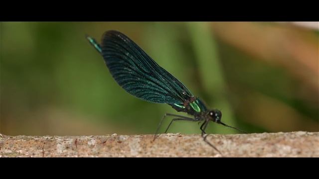 Beautiful Places - South of Sweden смотреть онлайн