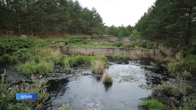 В Карелии прошло заседание по вопросам экологической безопасности Ладожского и Онежского озёр смотреть онлайн