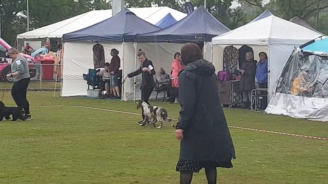 2022 Kyneton Ag Show - Group 3 Best & Classes смотреть онлайн