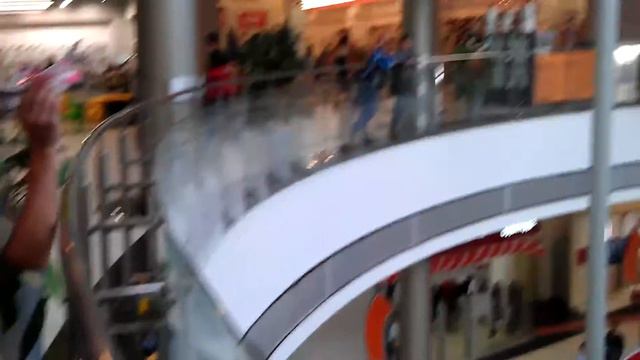 Радиоуправляемая птица в Сибирском молле