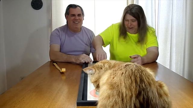 Table Top Curling Game | The Table смотреть онлайн