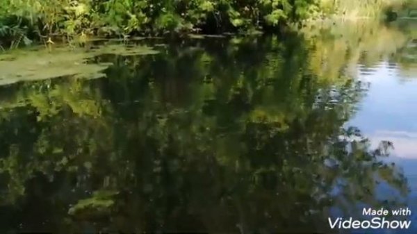 Рыбалка на спининг