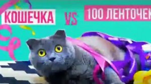 Баттерс❤❤❤и❤Элис❤