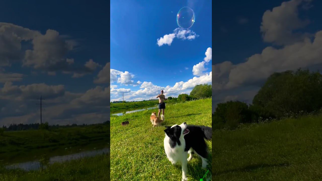 Отмечали ДР)