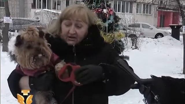 НОВОГОДНИЙ ФЕЛИКС смотреть онлайн