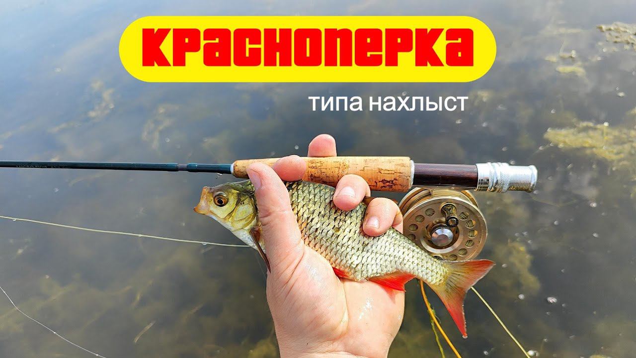 #нахлыст | Красноперка | Nac Corp. Micro FY49 #3/4 6pcs. | смотреть онлайн